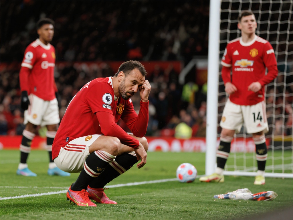 来寻找对手 来寻找对手